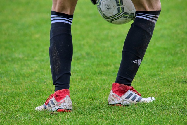 的支持一直 的支持一直