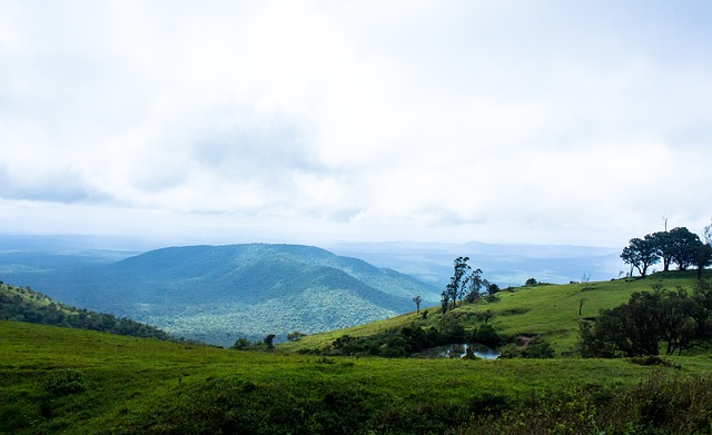 他強調戰術 他強調戰術