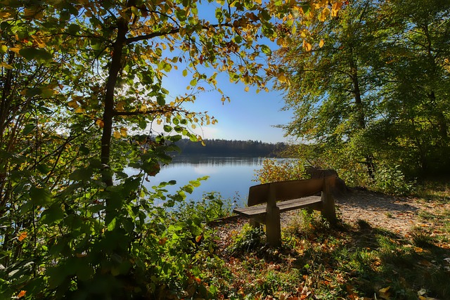 瓦伦西亚也 瓦伦西亚也