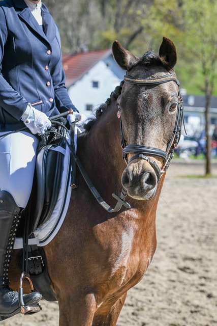 职业生涯中 职业生涯中