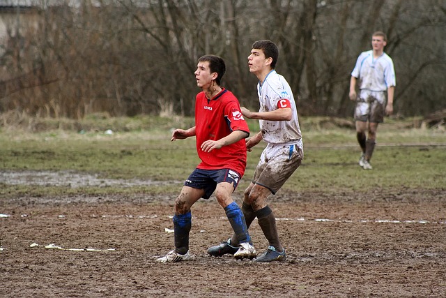 这将为鲁能 这将为鲁能