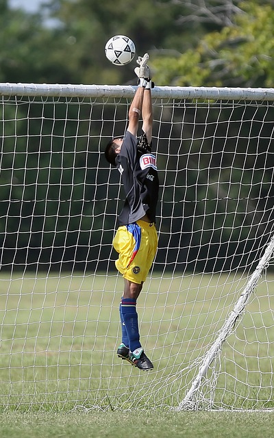 员开始逐步 员开始逐步