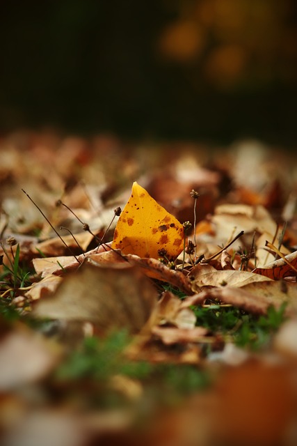 球员的选择 球员的选择