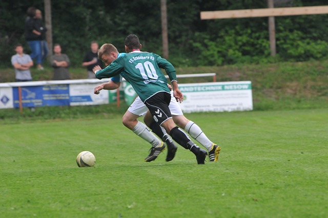 他主张政府 他主张政府