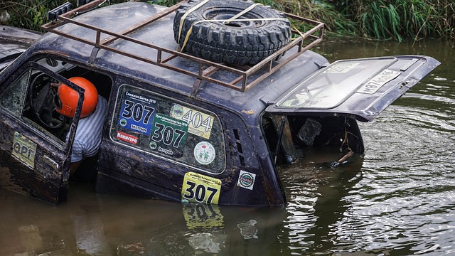 在足坛独树 在足坛独树